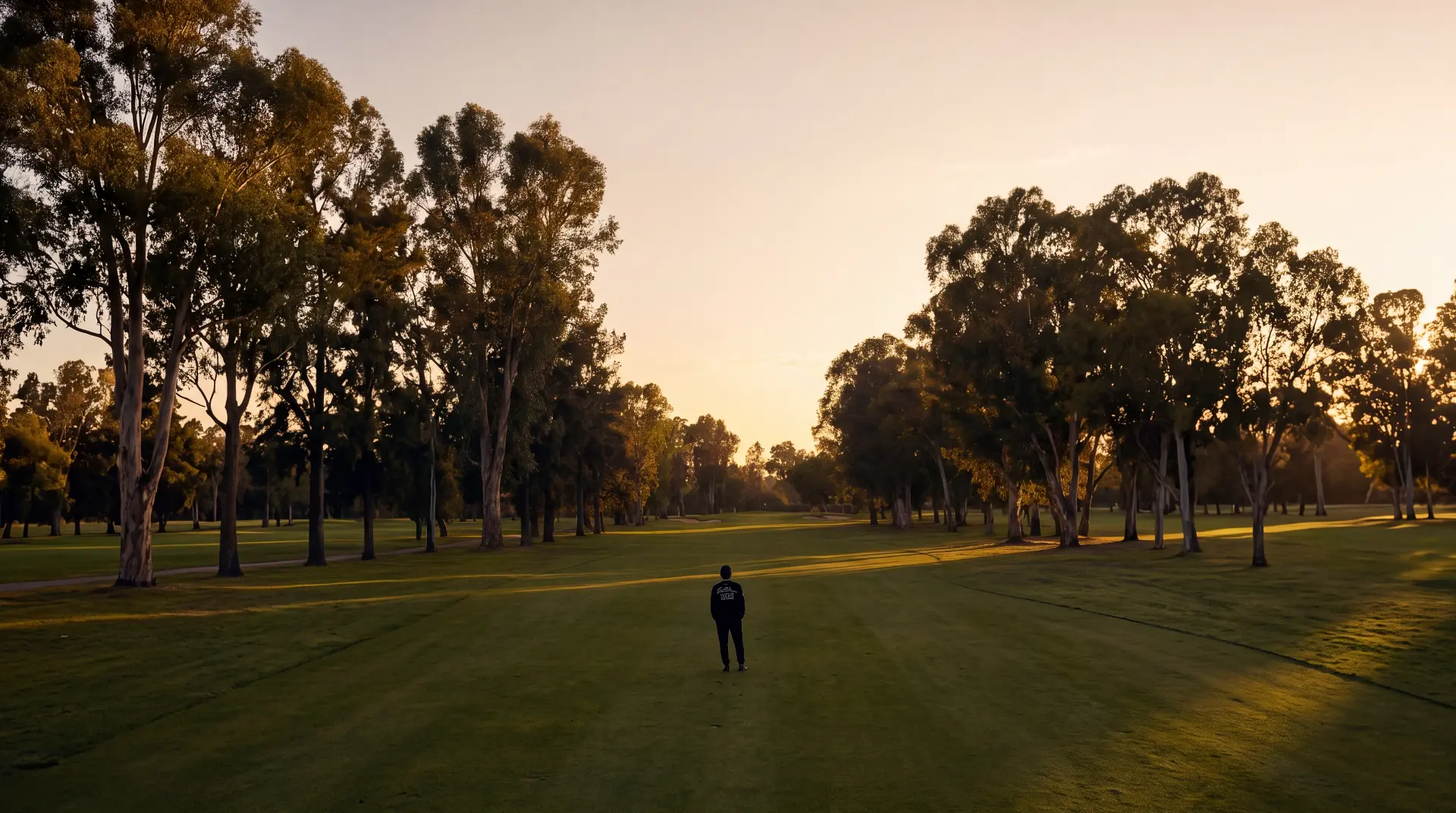 Lone figure in Pro Standard graphics on a tree-lined fairway at golden hour